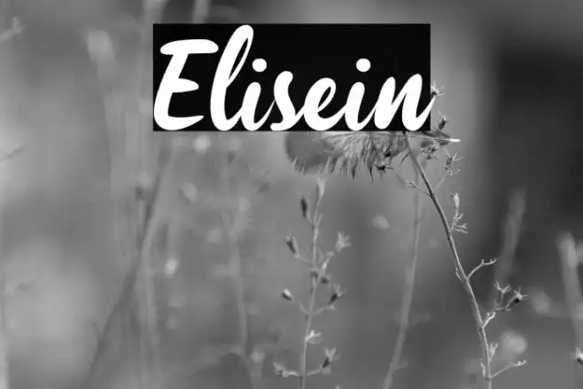 Elisein Font examples