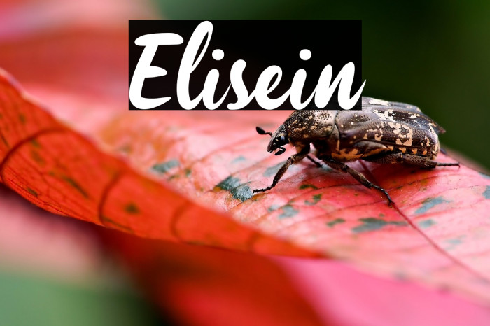 Elisein Example 2