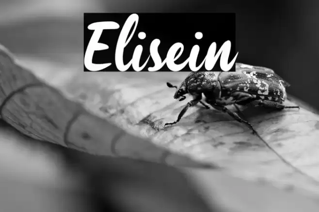 Elisein Font examples