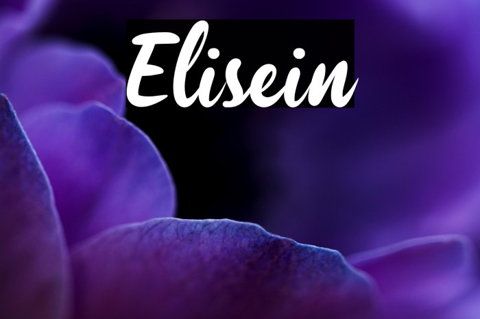 Elisein Example 3