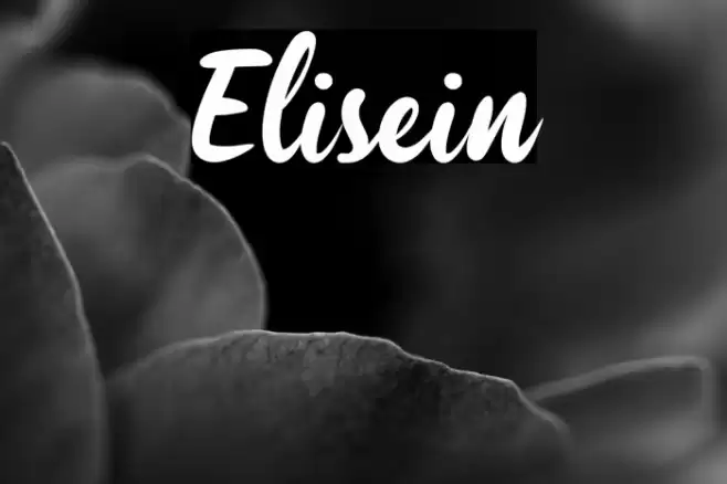Elisein Font examples