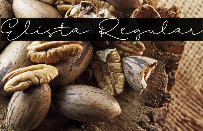 Elista Regular Example 3