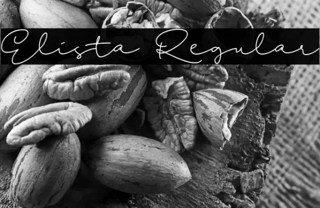 Elista Regular Font examples