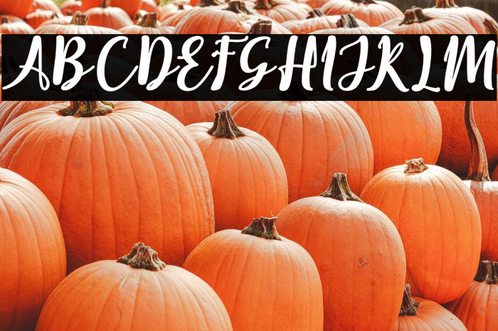 Elistabeta Example 1