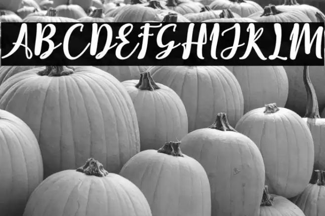 Elistabeta Font examples