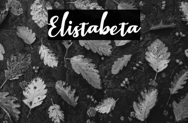 Elistabeta Font examples