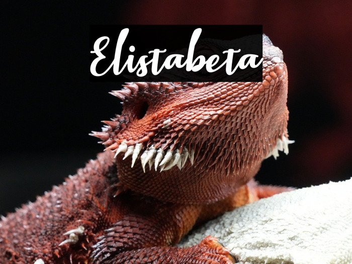 Elistabeta Example 2