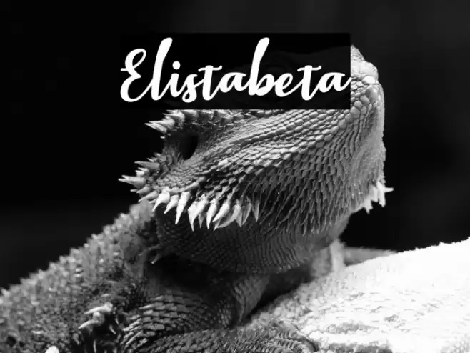 Elistabeta Font examples