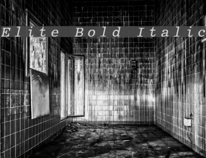 Elite Bold Italic Font examples