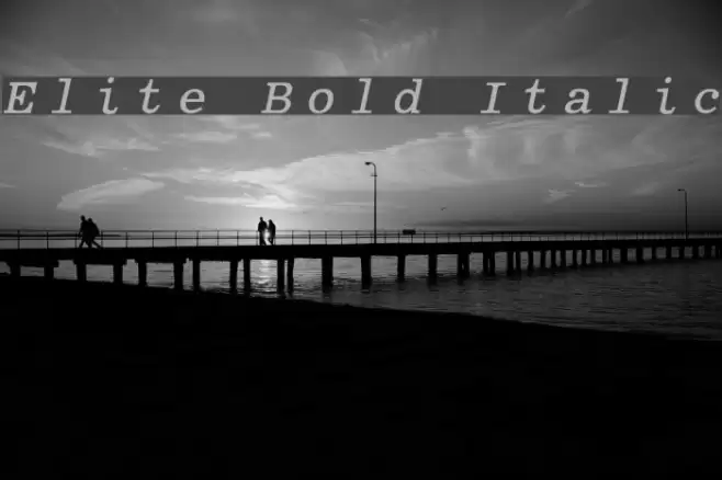 Elite Bold Italic Font examples