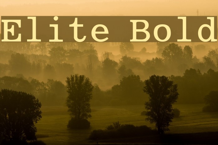 Elite Bold Font examples