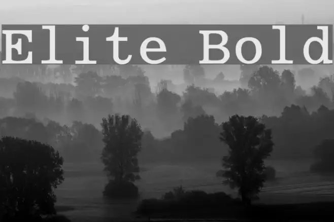 Elite Bold Example 3