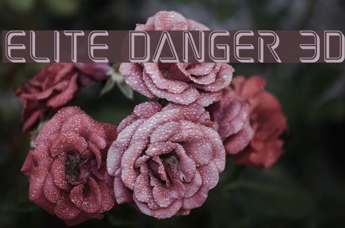 Elite Danger 3D Example 1