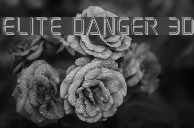 Elite Danger 3D Font examples