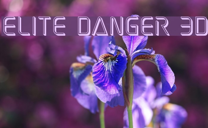 Elite Danger 3D Example 3