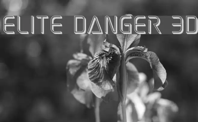 Elite Danger 3D Font examples