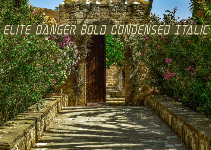 Elite Danger Bold Condensed Italic Font examples