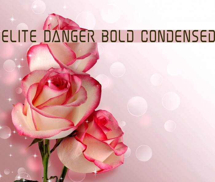 Elite Danger Bold Condensed Font examples