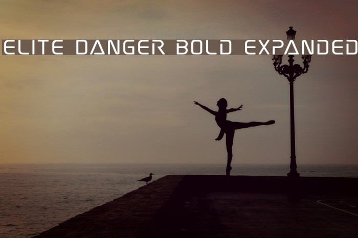 Elite Danger Bold Expanded Font examples