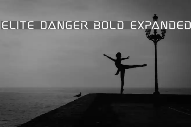 Elite Danger Bold Expanded Example 1