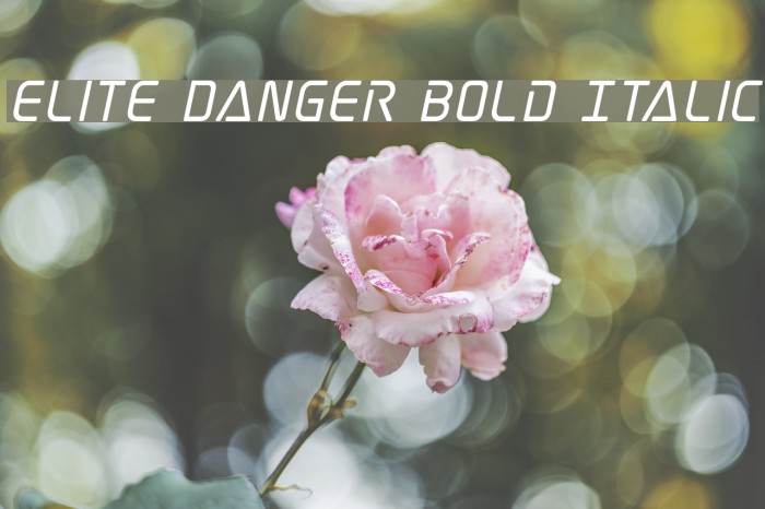Elite Danger Bold Italic Font examples