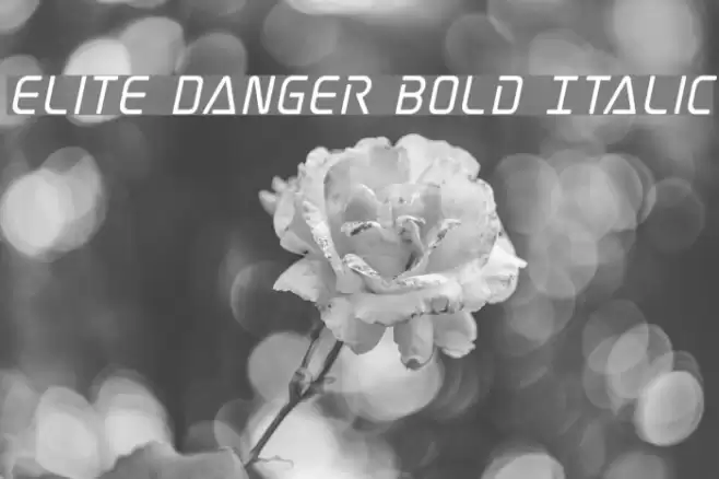 Elite Danger Bold Italic Font examples