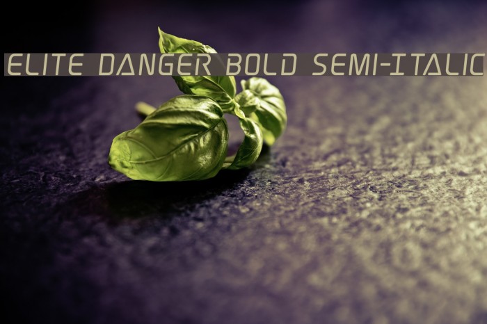 Elite Danger Bold Semi-Italic Font examples