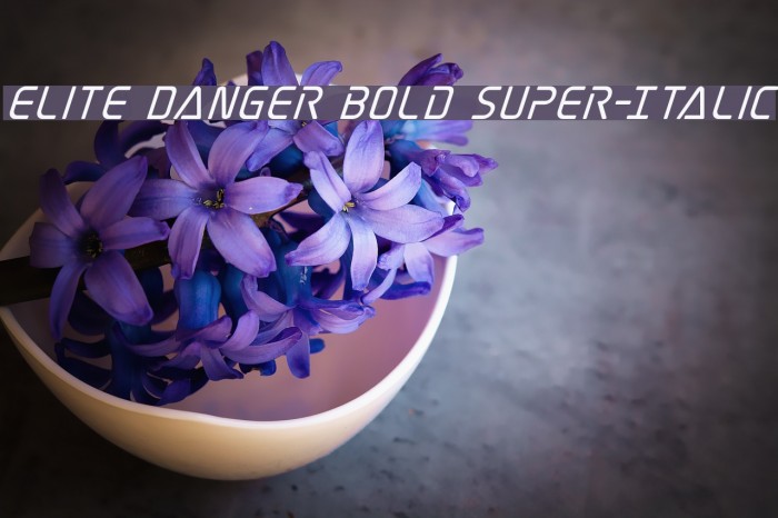 Elite Danger Bold Super-Italic Font examples