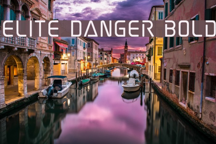 Elite Danger Bold Font examples