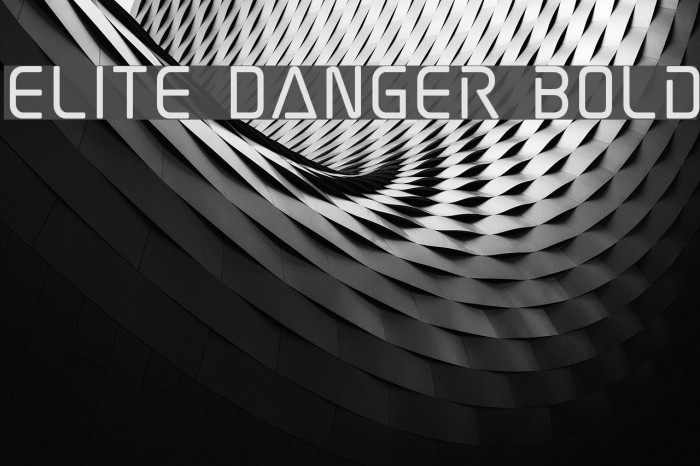 Elite Danger Bold Font examples