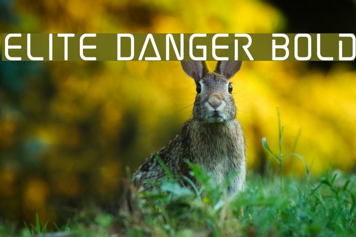 Elite Danger Bold Font examples