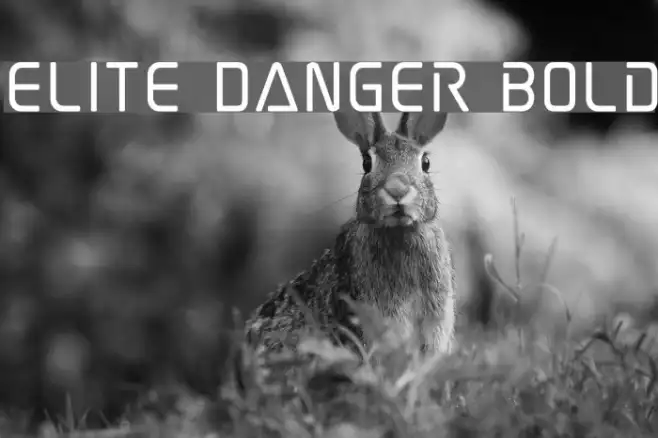 Elite Danger Bold Example 3