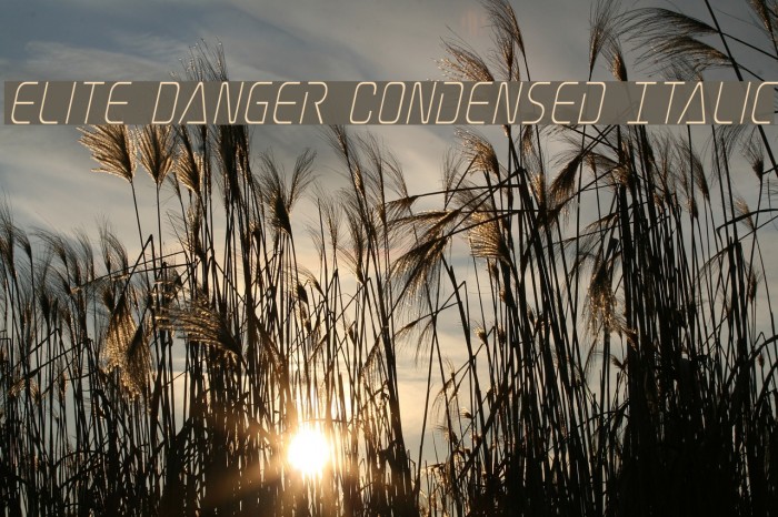 Elite Danger Condensed Italic Example 2