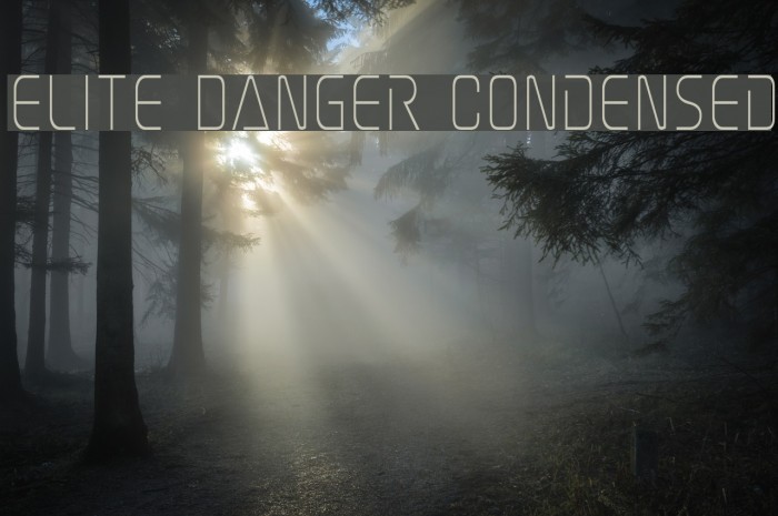 Elite Danger Condensed Font - FFonts.net