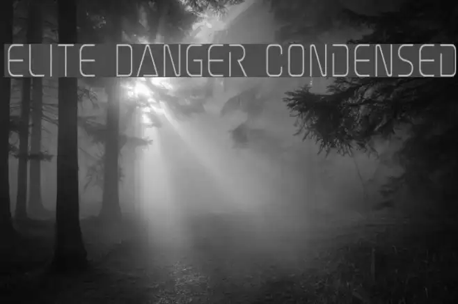 Elite Danger Condensed Example 2