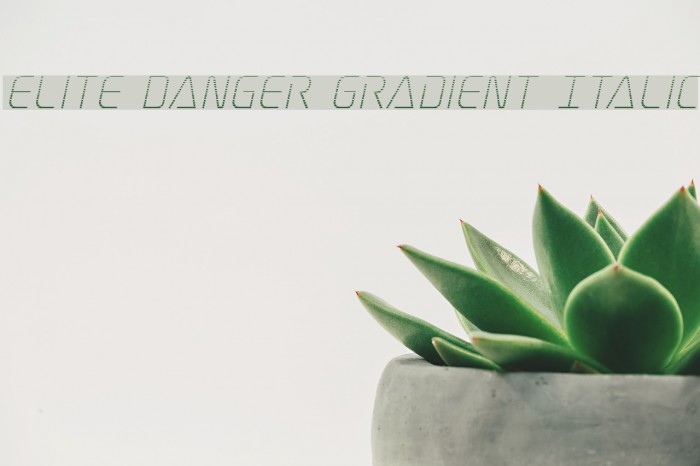 Elite Danger Gradient Italic Font examples