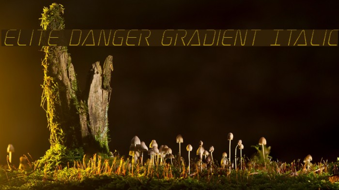 Elite Danger Gradient Italic Font examples