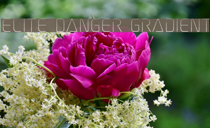 Elite Danger Gradient Example 1