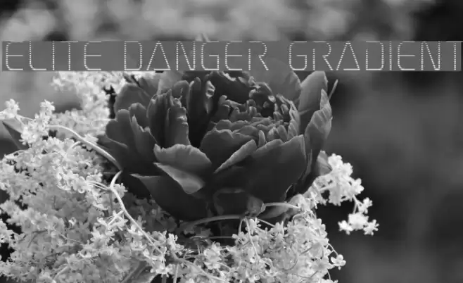 Elite Danger Gradient Font examples