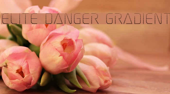 Elite Danger Gradient Example 3