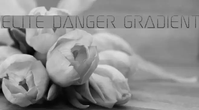 Elite Danger Gradient Font examples