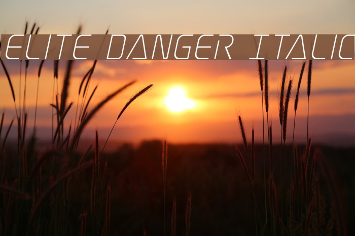Elite Danger Italic Font examples
