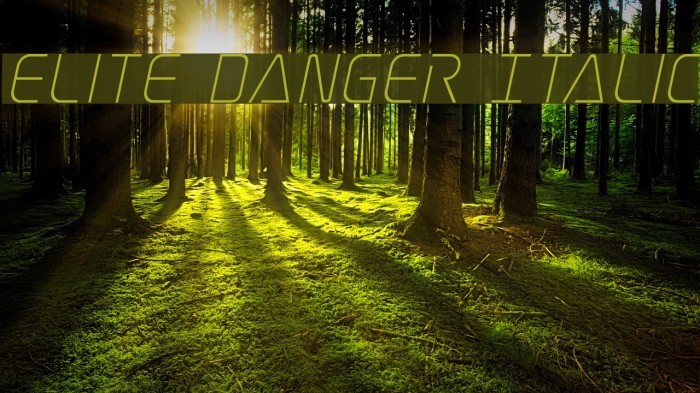 Elite Danger Italic Font examples