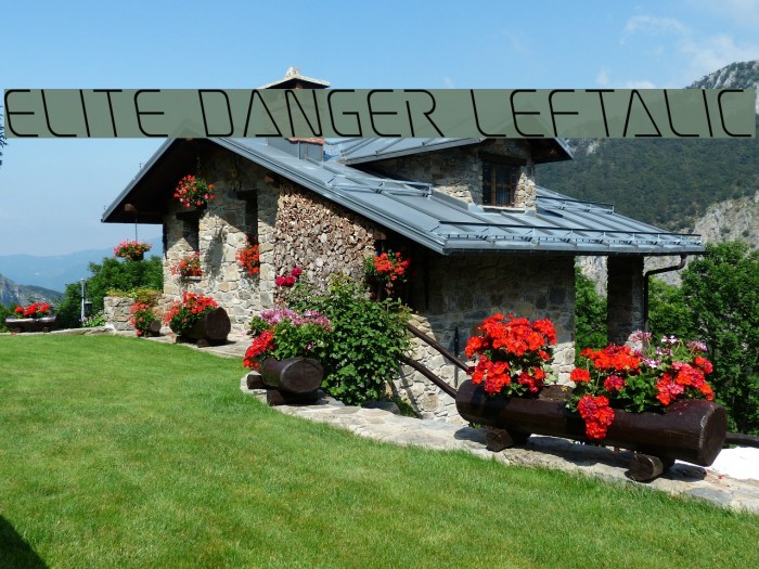 Elite Danger Leftalic Example 1