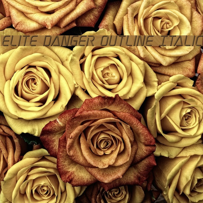 Elite Danger Outline Italic Font examples
