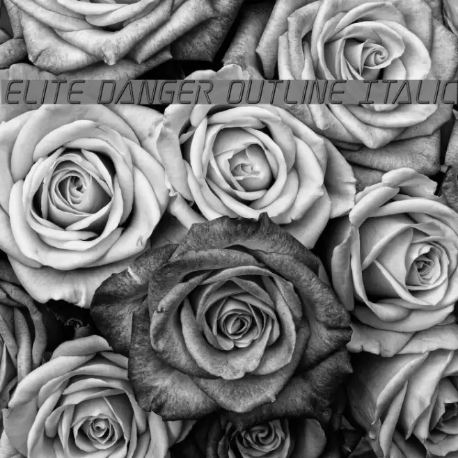 Elite Danger Outline Italic Font examples