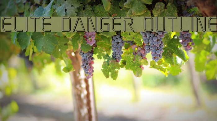 Elite Danger Outline Example 3