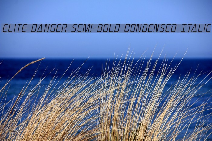 Elite Danger Semi-Bold Condensed Italic Font examples