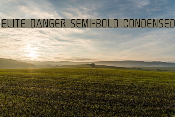 Elite Danger Semi-Bold Condensed Font examples