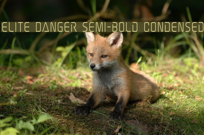 Elite Danger Semi-Bold Condensed Font examples